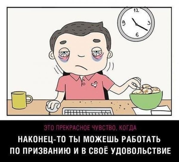 Приколы про удаленную работу