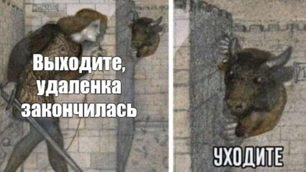 Удаленка закончилась выходите уходите
