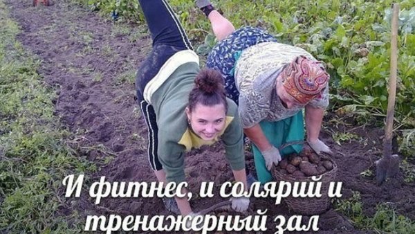 Дача огород юмор