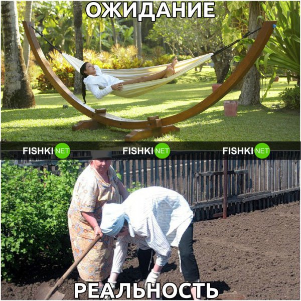 Приколы про дачу