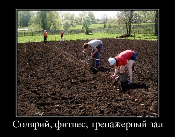 Демотиваторы про огород