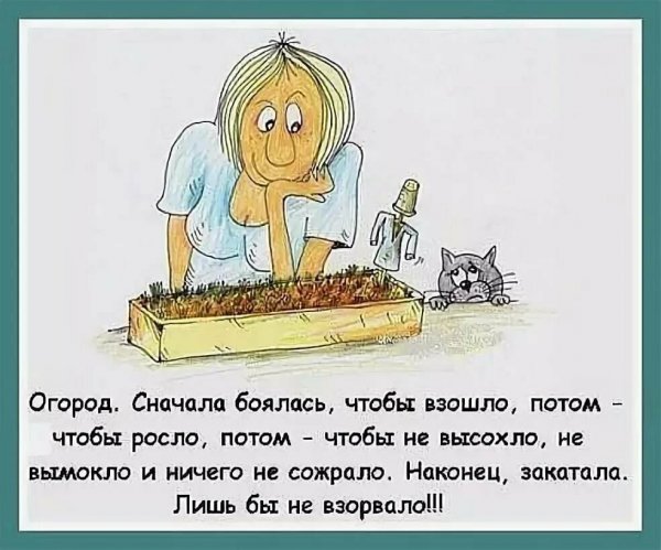 Шутки про огород