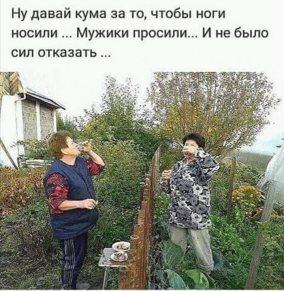 Дача юмор