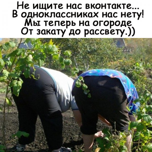 Шутки про огород