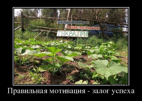 Демотиваторы про огород