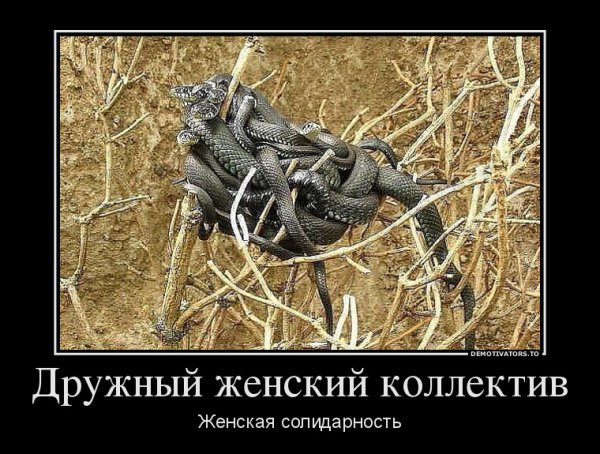 Пожелания команде