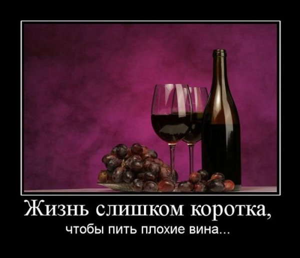 Вина демотиватор