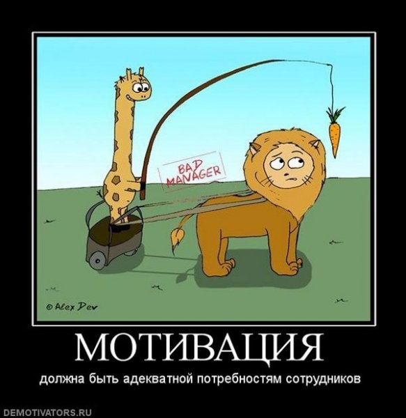 Мотивация демотиватор