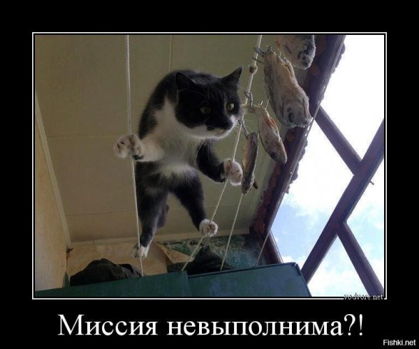 Мотиваторы юмористические