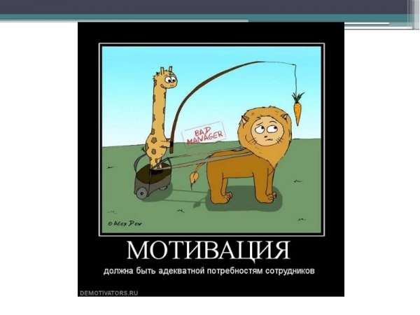 Мотиватор на работу