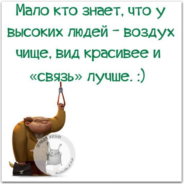 Смешные Мотивационные фразы