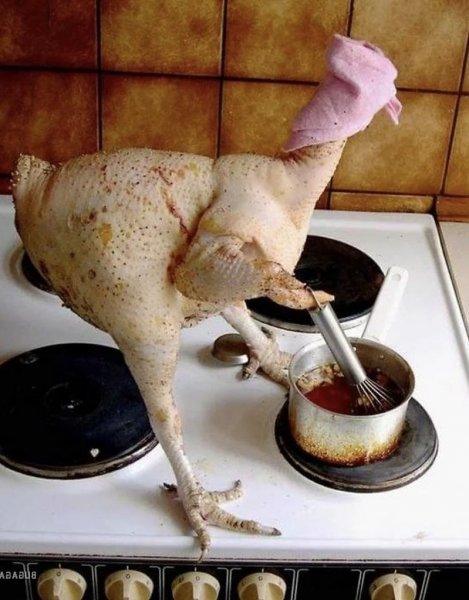 Курица прикол