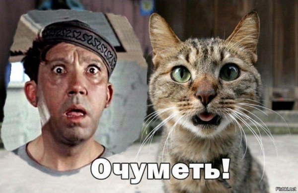 Очуметь картинка
