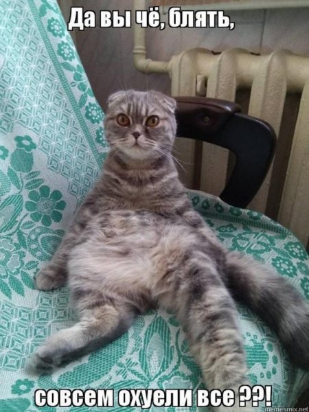 Офигеть прикол