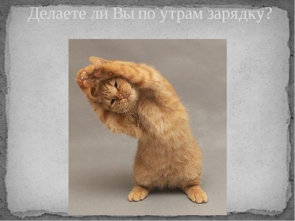 Утренняя зарядка юмор