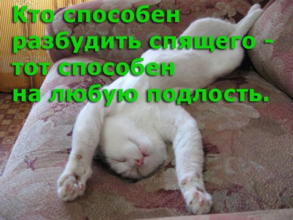 Я сплю меня не будить