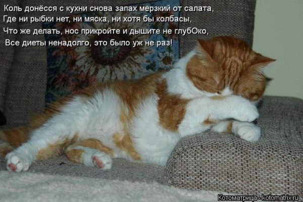 Открытка просыпайся Соня