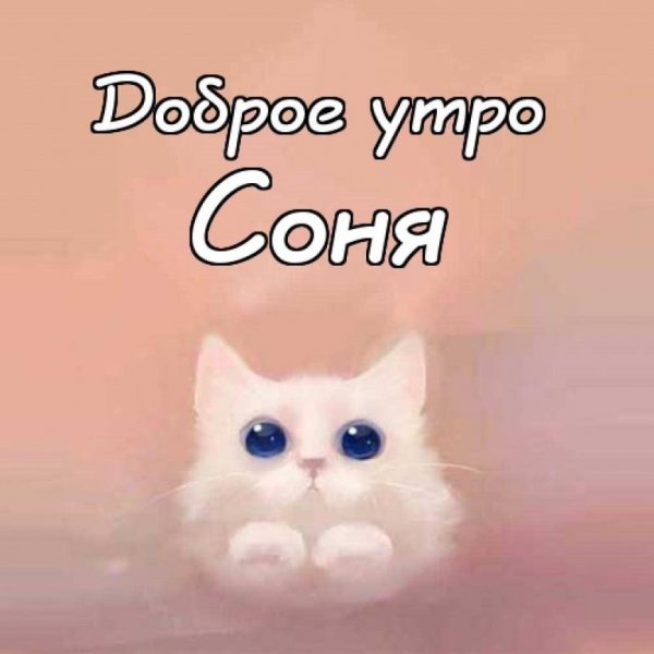 Доброе утро Сонечка