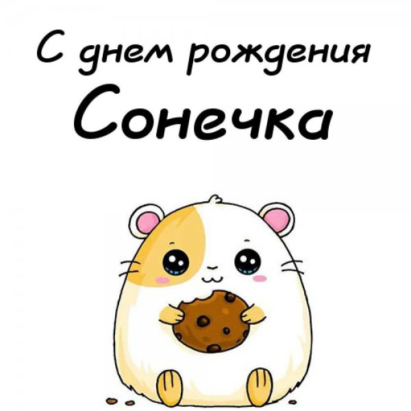 Поздравления с днём рождения Сонечке