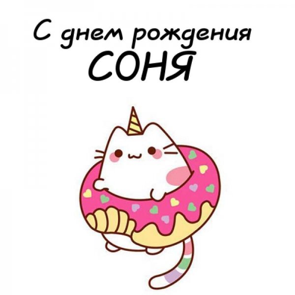 С днем рождения Соня поздравления