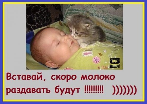 Вставай быстрее