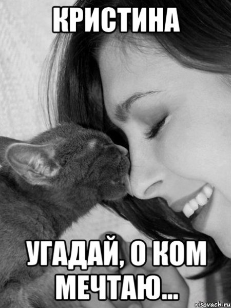 Котик люблю Мем