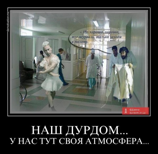 Демотиваторы сумасшедший дом