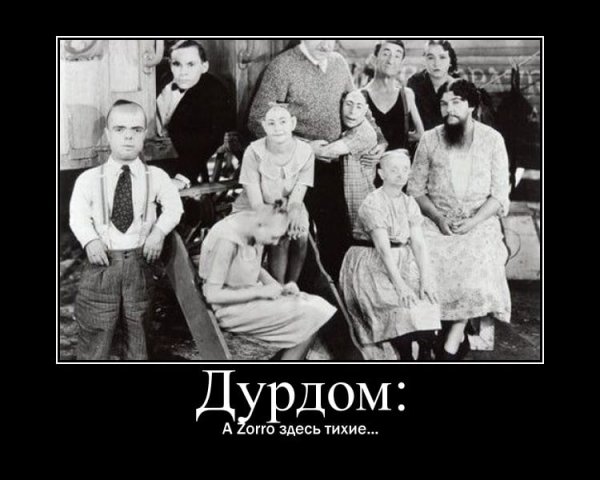 Демотиваторы дурдом