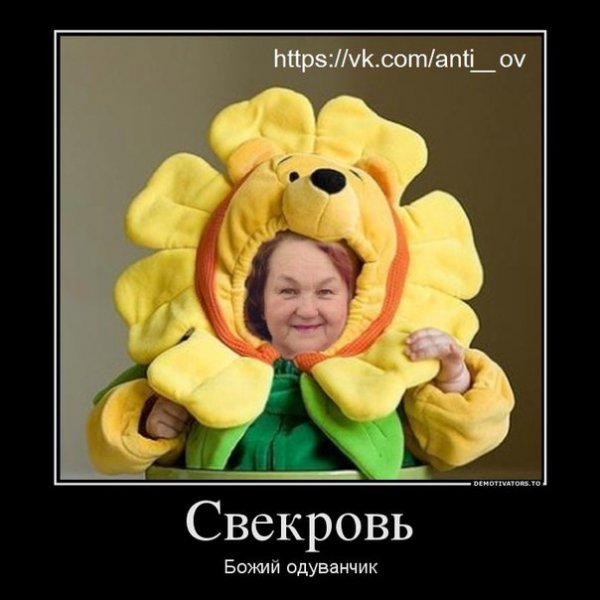 Божий одуванчик