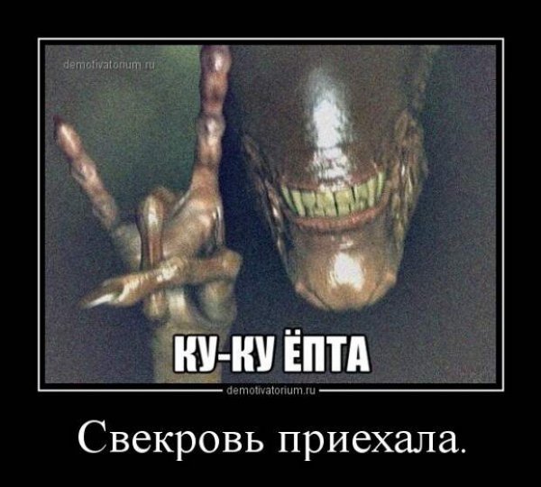 Свекровь приехала