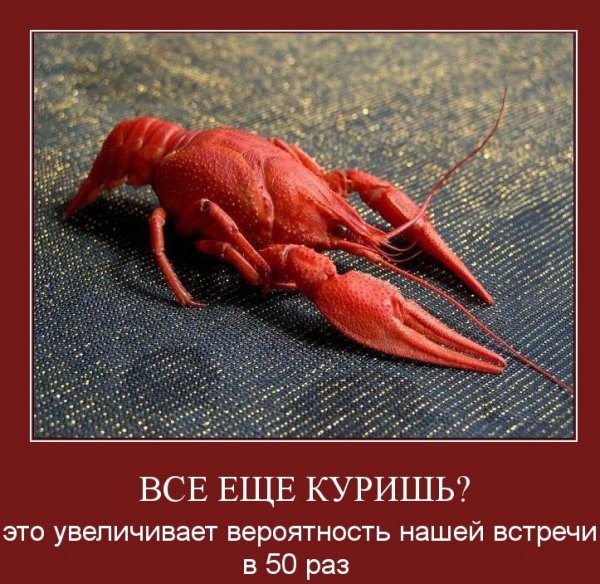 Смешной рачок
