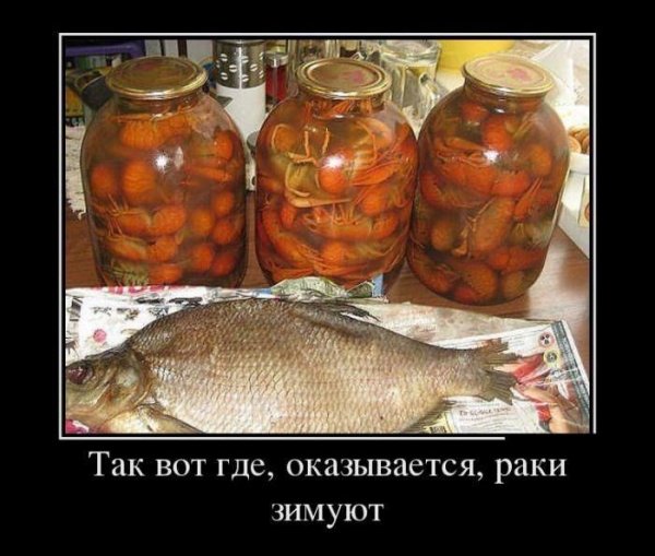 Злой краб