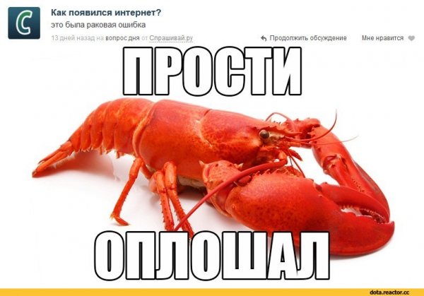 Пиво креветки прикол