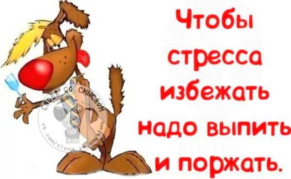 Смешные фразы про стресс