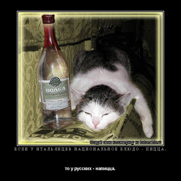 Кот Наливай