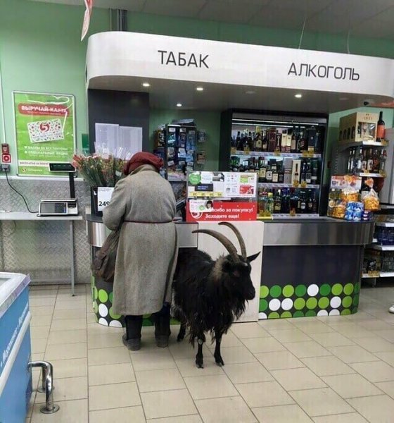 Пятерочка приколы
