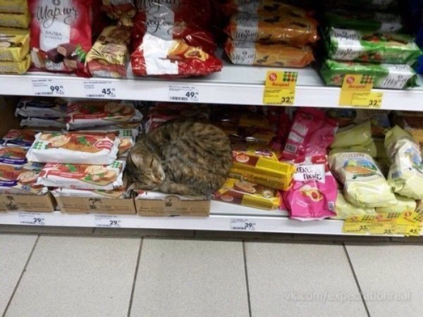 Пятёрочка выручает прикол