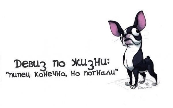 Девиз по жизни с юмором