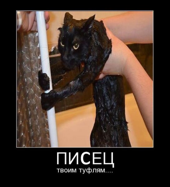 Пипец прикол