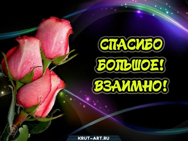 Взаимное поздравление