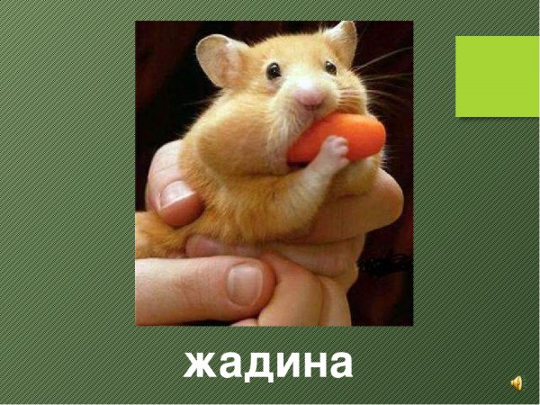 Я жадина картинки