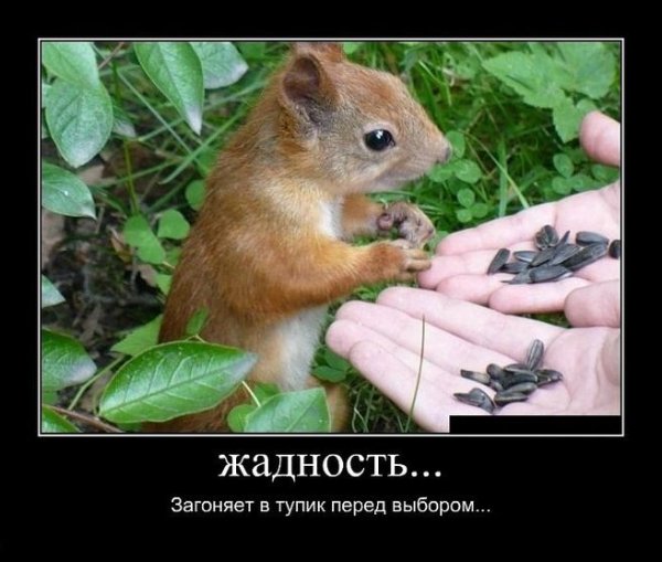 Жадность демотиваторы