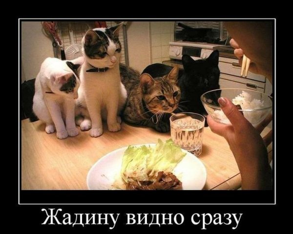 Завтрак независимой женщины