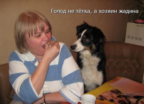 Я не жадный я
