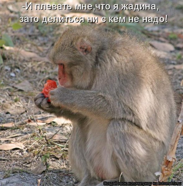 Я жадина