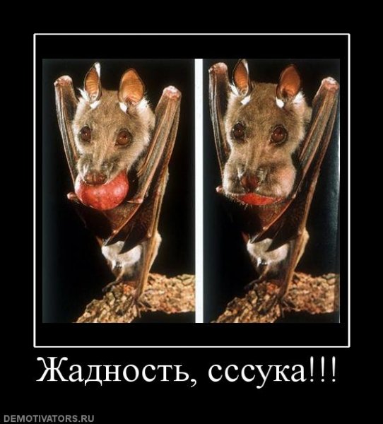 Жадность прикол
