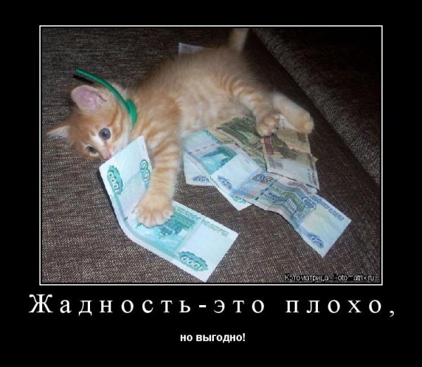 Шутки про жадность