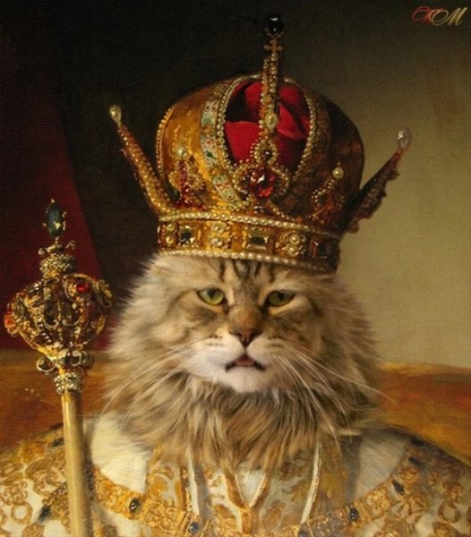 Портрет кота Алексея Михайловича царя