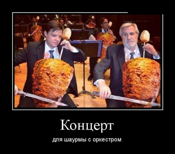 Шаурма юмор