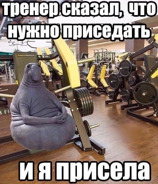Приколы в тренажерном зале